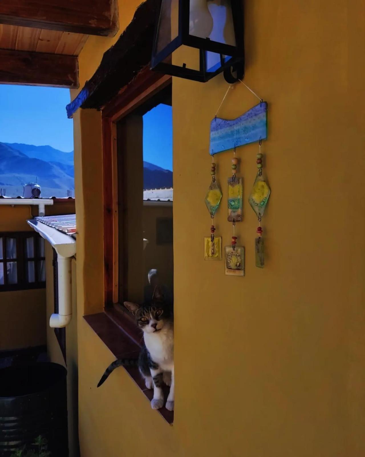 Retama Bed & Breakfast Tilcara Bagian luar foto